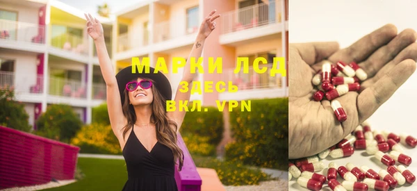 гидра Володарск